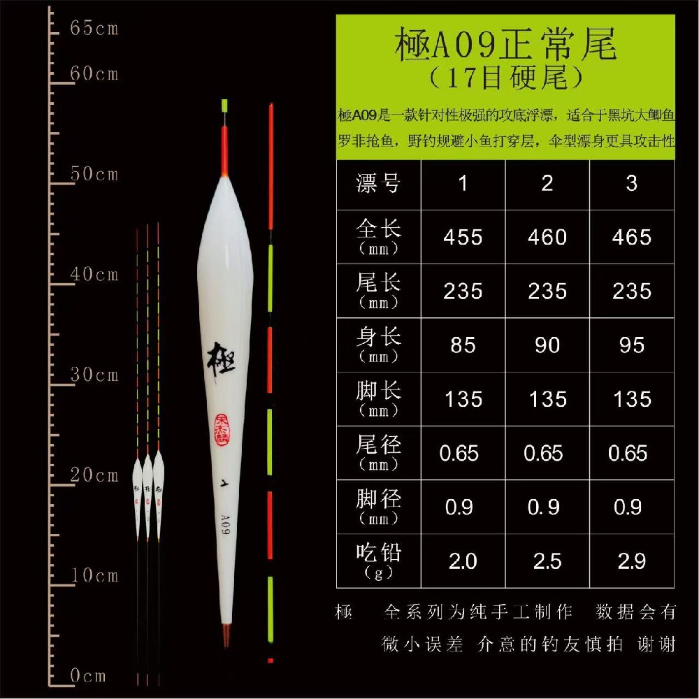 极系列：A09